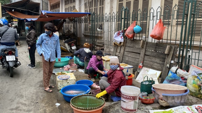 Cá đã được bán hết nhanh chóng