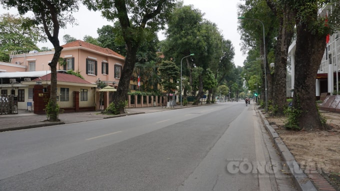 Phố Lê Hồng Phong thật đẹp trong một sớm tiết trời xe lạnh của Hà Nội. Ảnh H.Long.