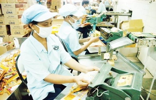 Hoạt động đầu tư kinh doanh cơ sở ươm tạo doanh nghiệp nhỏ và vừa được bổ sung vào Danh mục ưu đãi đầu tư. Ảnh minh họa
