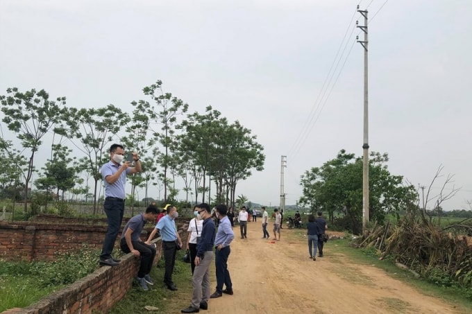 Nhà đầu tư về lướt sóng.