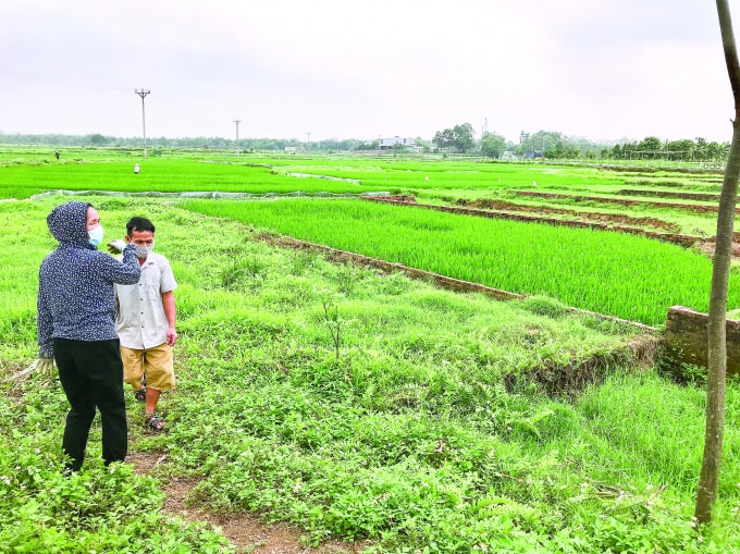 Những giao dịch ngầm vẫn đã và đang diễn ra hết sức nhộn nhịp tại khu đất giãn dân Quan Giai.
