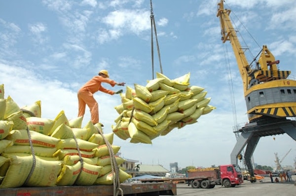 Thủ tướng đồng ý về chủ trương cho phép xuất khẩu gạo trở lại. Ảnh minh họa