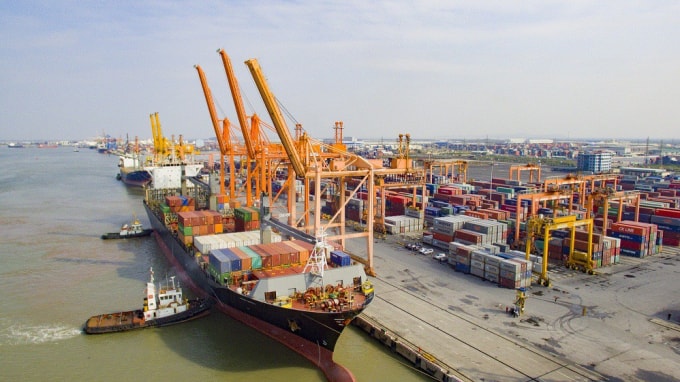Phó Thủ tướng Trịnh Đình Dũng chỉ đạo các bộ ngành báo cáo, đề xuất trình Thủ tướng xem xét miễn, giảm các chi phí của doanh nghiệp vận tải biển. Ảnh: internet
