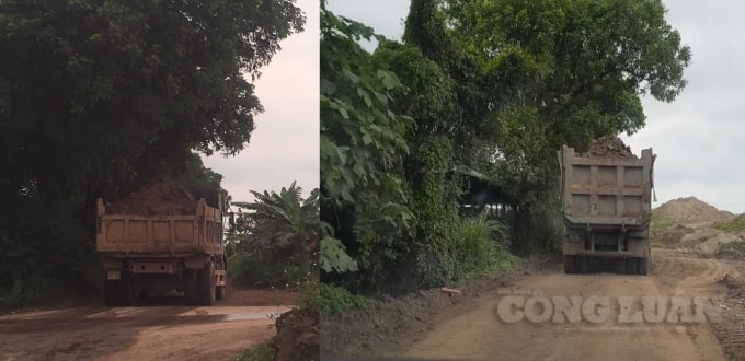 Hàng nghìn mét khối đất phù sa bị Giám đốc Công ty Hoàng Anh 
