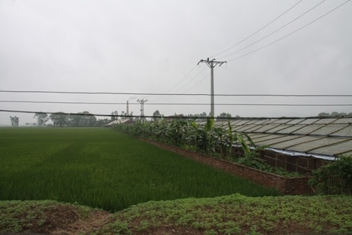 Khu vực xác định chức năng là đất nông nghiệp và đất cây xanh, công viên vui chơi giải trí được điều chỉnh thành đất an ninh quốc phòng. Ảnh minh họa - internet