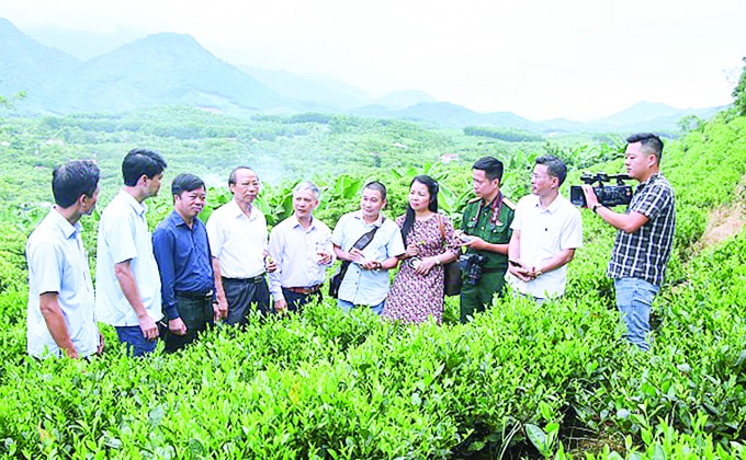 Đoàn thực tế do Hội Nhà báo tổ chức làm việc tại Vùng sản xuất cây ăn quả tập trung xã Phúc Thuận.
