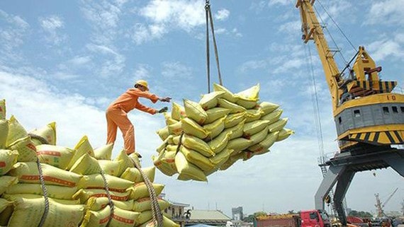 Thường trực Ủy ban Kinh tế đề nghị làm rõ việc Tổng cục Hải quan mở hệ thống thông quan hàng hóa tự động để doanh nghiệp kinh doanh xuất khẩu gạo đăng ký tờ khai vào lúc 0 giờ. (Ảnh minh họa)
