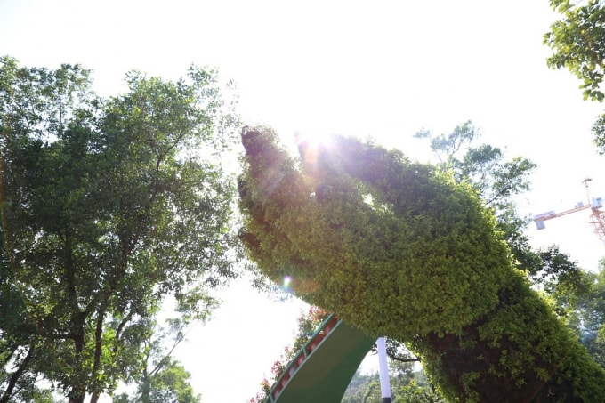 Sun World BaDen Moutain (5)
