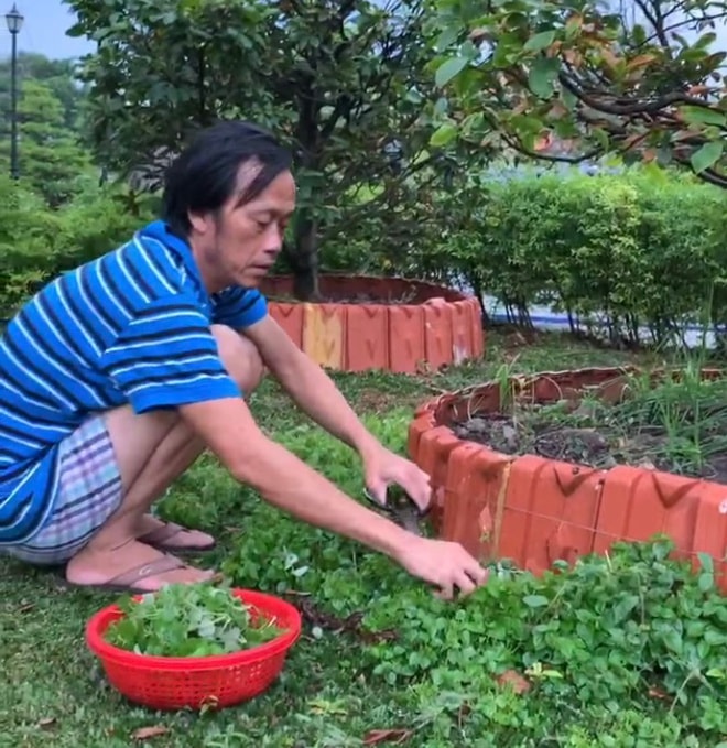 hoài Linh 1