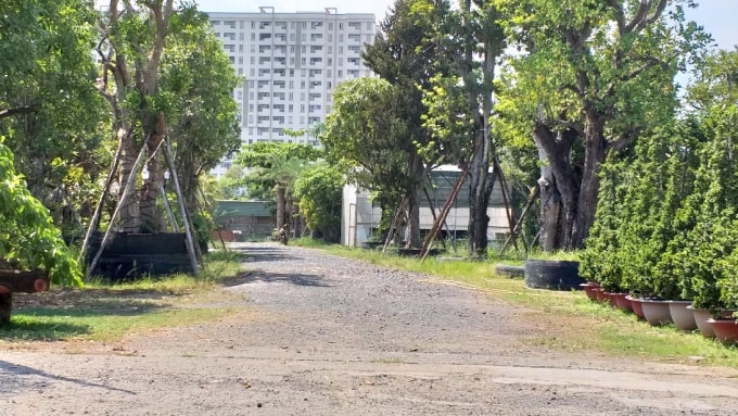 Mảnh đất xảy ra tranh chấp. Ảnh: TS