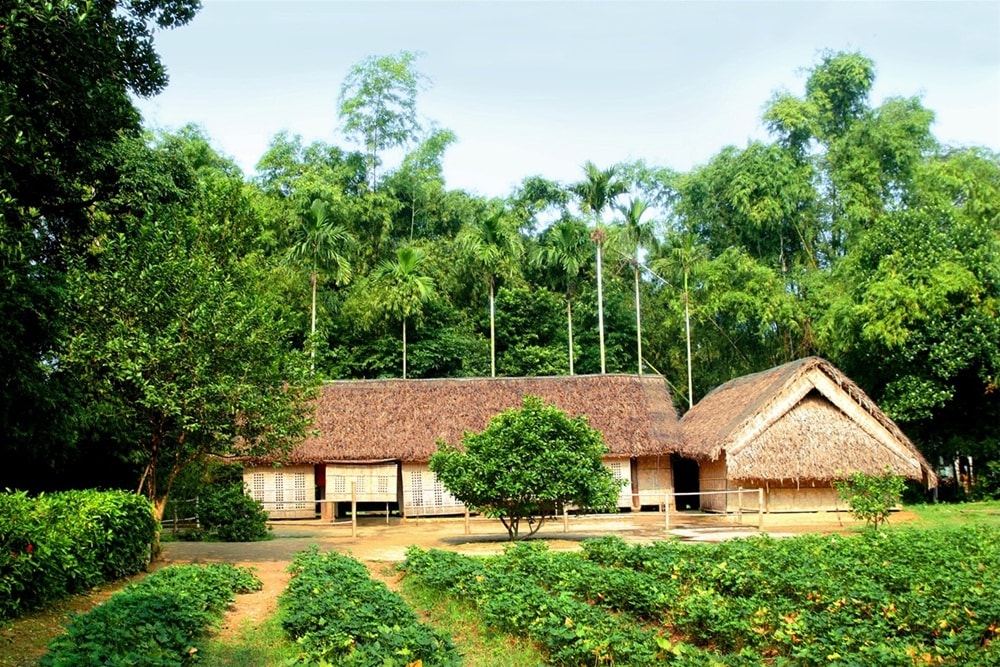 Ảnh minh họa