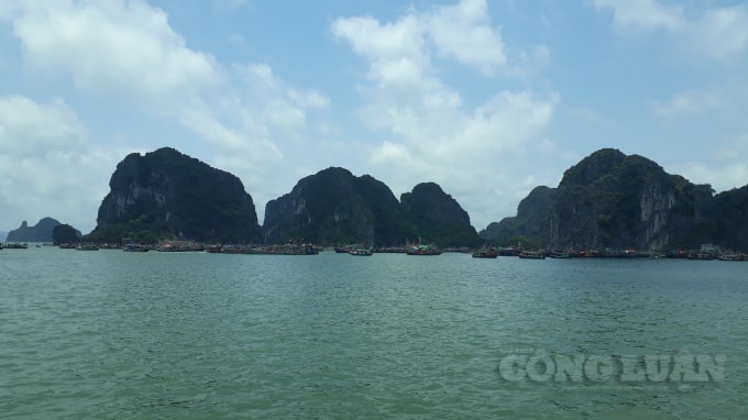 Vịnh Hạ Long - điểm tham quan du lịch hè hấp dẫn mọi du khách. Ảnh: Nguyễn Quân
