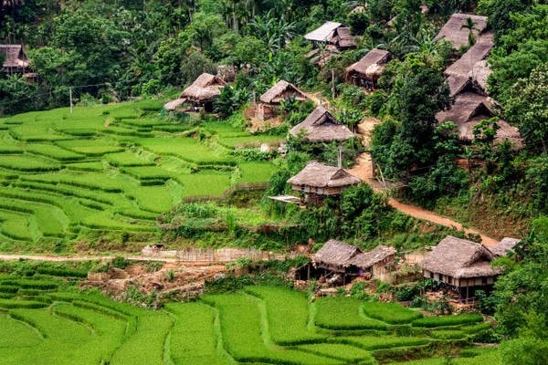 Những nhà sàn nguyên sơ của người Thái tại Kho Mường, xã Thành Sơn, huyện Bá Thước, tỉnh Thanh Hóa.