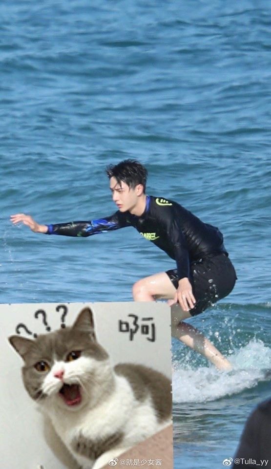 nhất bác4