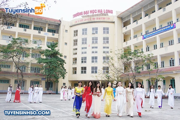 Trường Đại học Hạ Long - Ảnh: Tuyensinhso