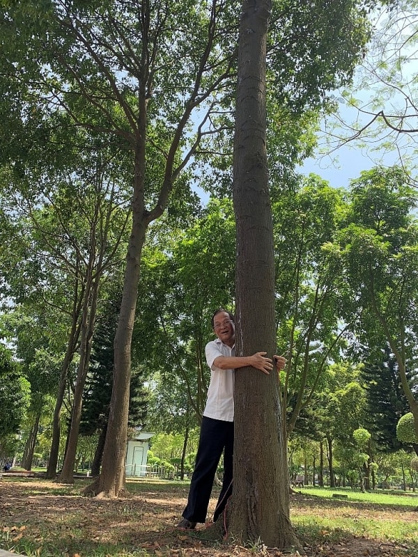 Chu vi thân cây đã được gần 1m.