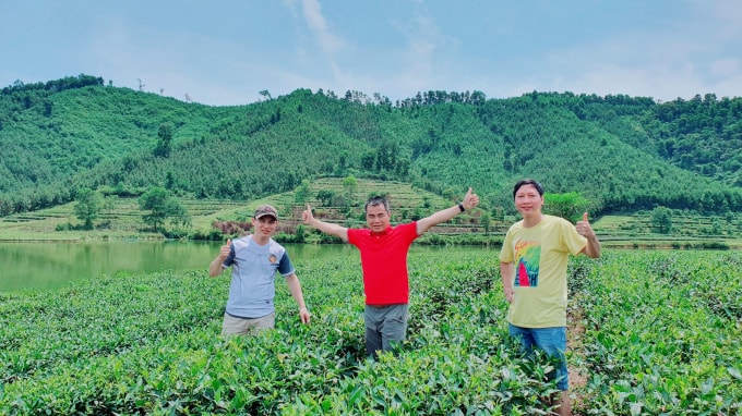 Công ty CP lữ hành Thành Sen khảo sát chặng tour mới tham quan đồi chè Tây Sơn