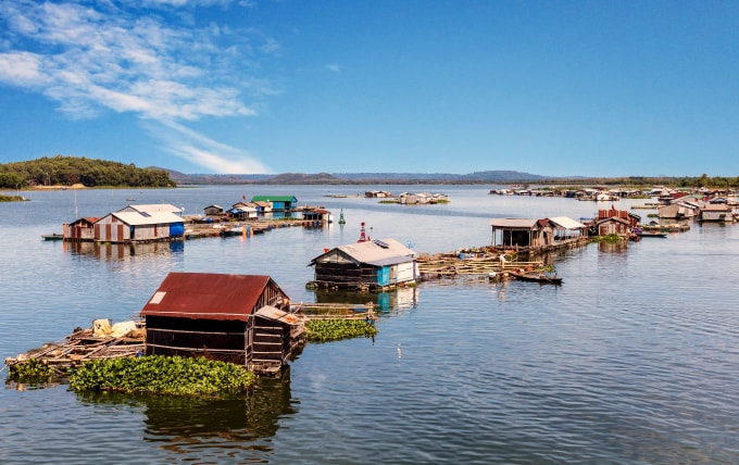 Những bè nuôi cá trên sông La Ngà thuộc địa phận huyện Đức Linh- tỉnh Bình Thuận. Ảnh: wikipedia