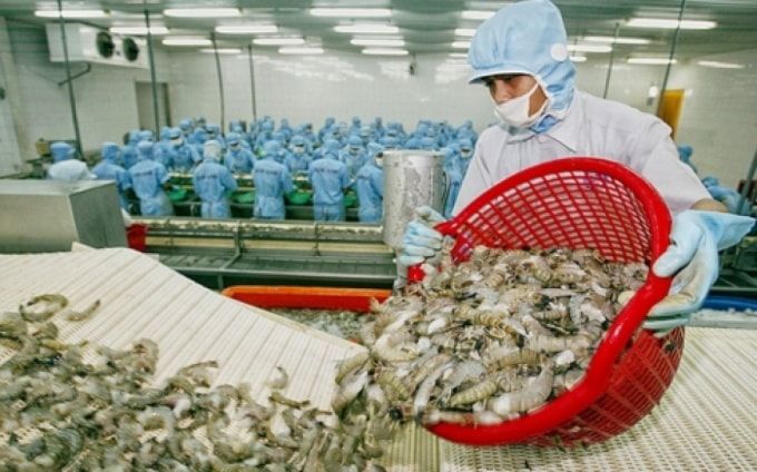 Hậu Covid19, Tôm Việt Nam “chớp thời cơ” tăng xuất khẩu