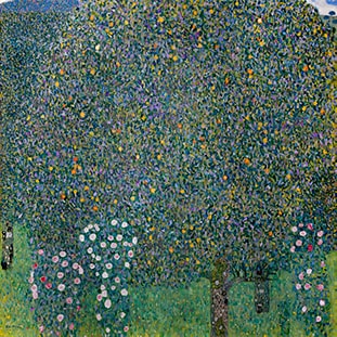 Tác phẩm Hoa hồng dưới tán cây của Gustav Klimt.