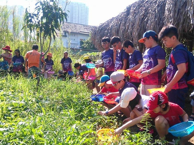 Family Garden Thảo Điền là mô hình vui chơi hoạt động ngoài trời mới lạ. Ảnh: TL