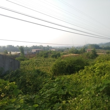Khu đất thực hiện dự án Khu ở mới sinh thái sông Kỳ Cùng
