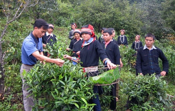 Chương trình tạo sinh kế giải quyết những vấn đề bức thiết của nhóm dân tộc rất ít người còn nhiều khó khăn. Ảnh minh họa
