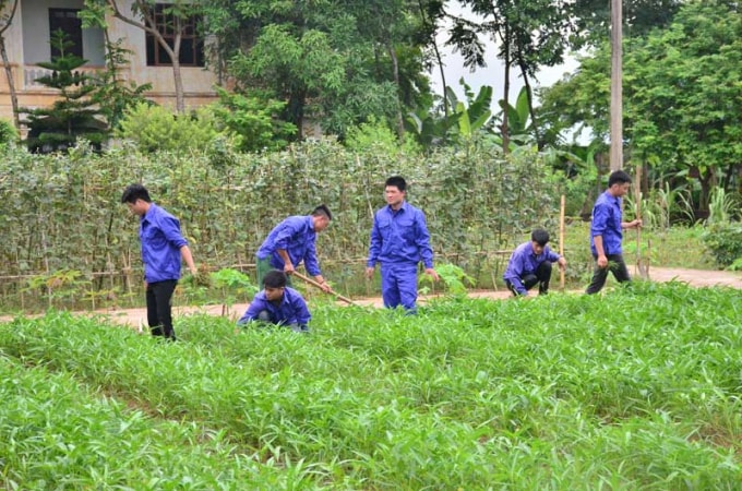 Học viên cai nghiện tại cơ sở cai nghiện ma tuý số II tỉnh Hòa Bình được dạy nghề trong thời gian cai nghiện. Ảnh: Báo Hòa Bình