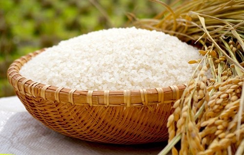 Giá gạo Việt Nam lập đỉnh mới. Ảnh: TL