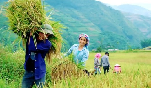 Hình ảnh thiên nhiên và con người giữa màu xanh