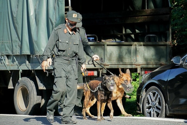 Chó nghiệp vụ được sử dụng để truy tìm Triệu Quân Sự
