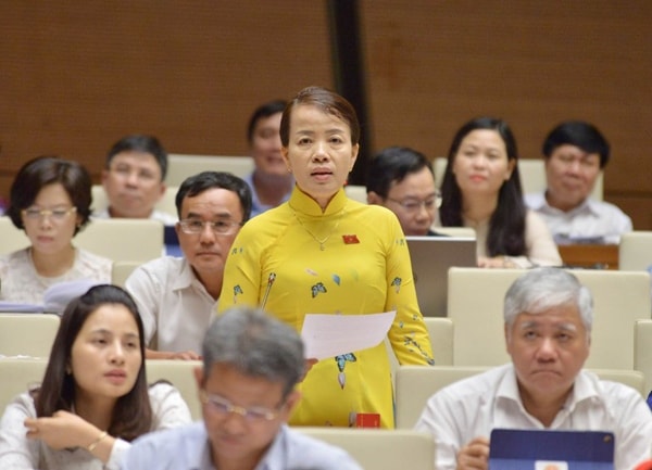 Đại biểu Quốc hội Nguyễn Thị Kim Thúy. Ảnh: quochoi.vn