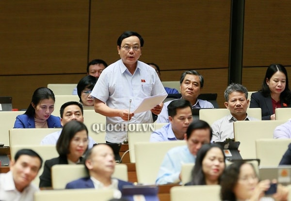 Đại biểu Hoàng Đức Thắng phát biểu. Ảnh: quochoi.vn