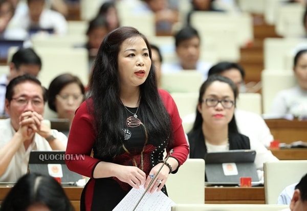 Đại biểu Vũ Thị Lưu Mai. Ảnh: quochoi.vn