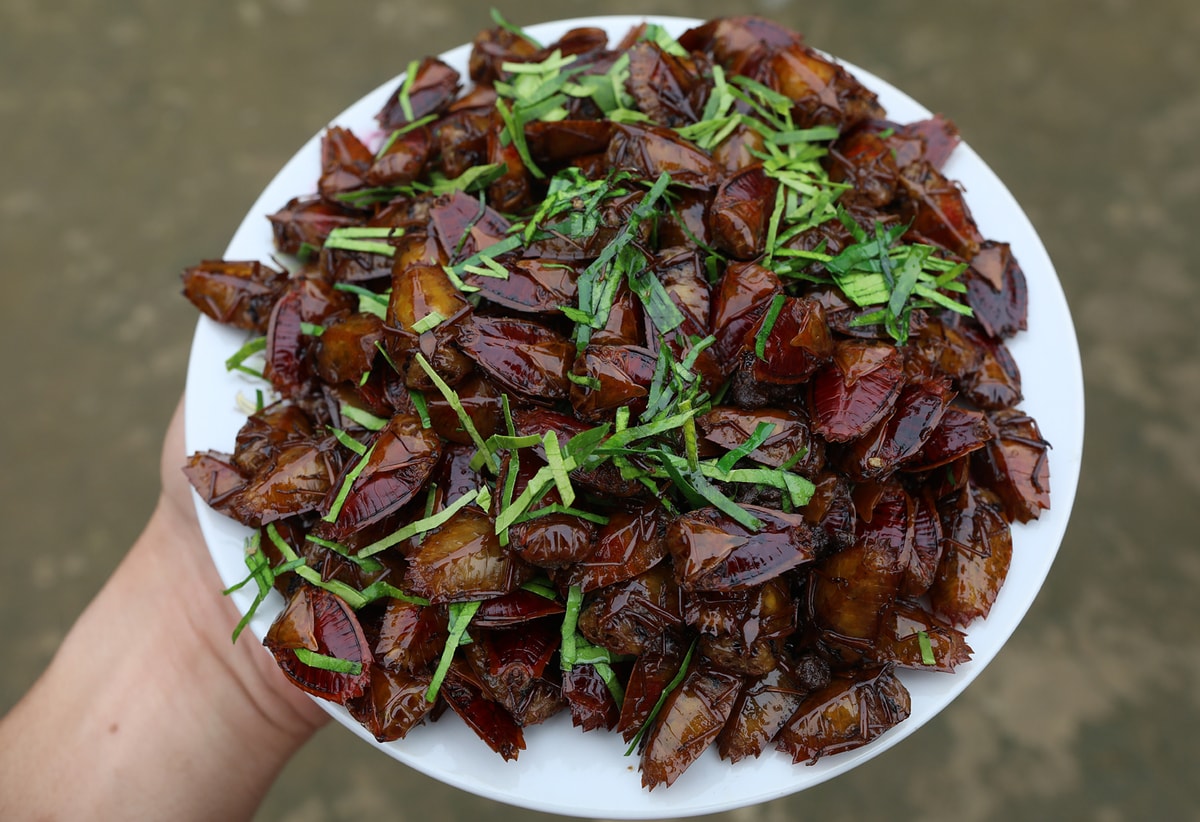 Thông tin y học về độc tính của các loài sâu, bọ xít hiện nay còn ít. Do đó có rất ít loài sâu, bọ xít được khoa học chứng minh là an toàn để ăn.
