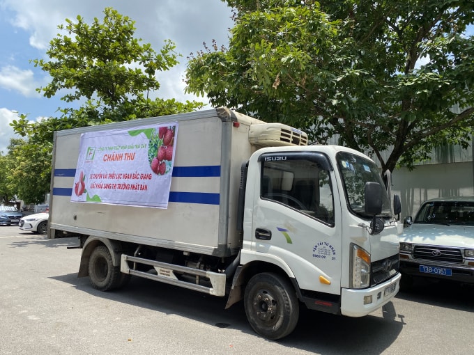 Xe vải của đơn vị xuất khẩu đi Nhật Bản. Ảnh: Dương Lâm
