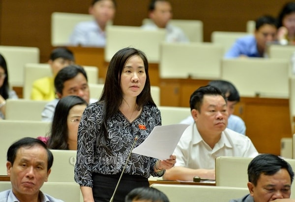 Đại biểu Quốc hội Đoàn Thị Thanh Mai