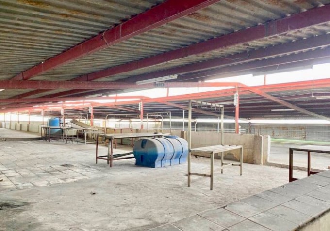Cảnh hoang tàn bên khu giết mổ Bà Điểm sau 10 năm không được hoạt động trở lại dù liên tiếp thắng kiện cơ quan chức năng.