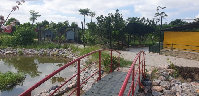 Rất nhiều công trình xây dựng trái phép trên diện tích hàng nghìn mét vuông đất sản xuất nông nghiệp