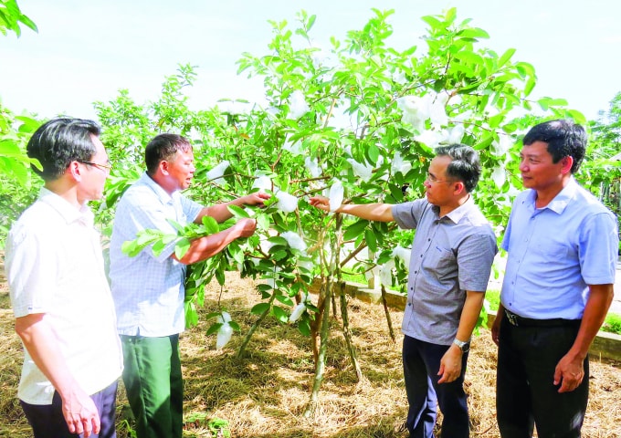 Đồng chí Bùi Quang Hoàn cùng lãnh đạo xã Kỳ Đồng thăm mô hình kinh tế gia đình ông Nguyễn Văn Thê cho thu nhập mỗi năm 200 triệu đồng.