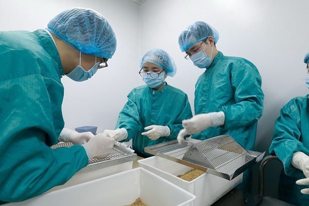 Việt Nam thúc đẩy nghiên cứu vaccine Covid-19. Ảnh: TL