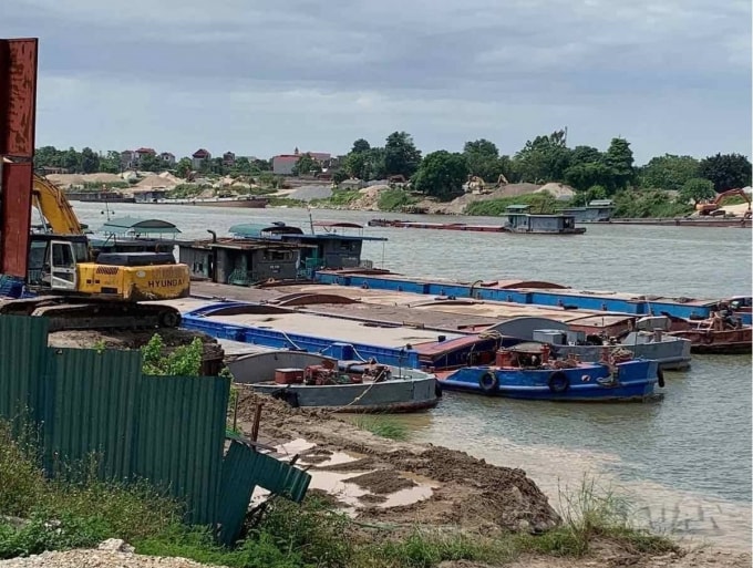 Một số phương tiện chở cát bất hợp pháp bị lực lượng chức năng bắt giữ.