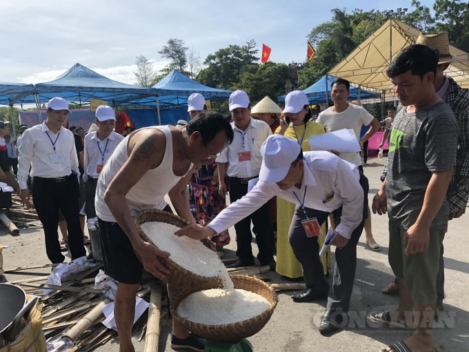 Ban Giám khảo kiểm tra chất lượng gạo của mỗi đội thi