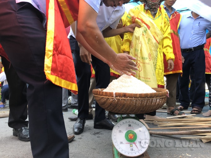 Ban Giám khảo Hội thi kiểm tra số lượng cân gạo để đảm bảo tính công bằng, phù hợp lượng bánh của các đội. Mỗi đội thi có 13kg (cả rá) gạo ướt để nấu bánh.