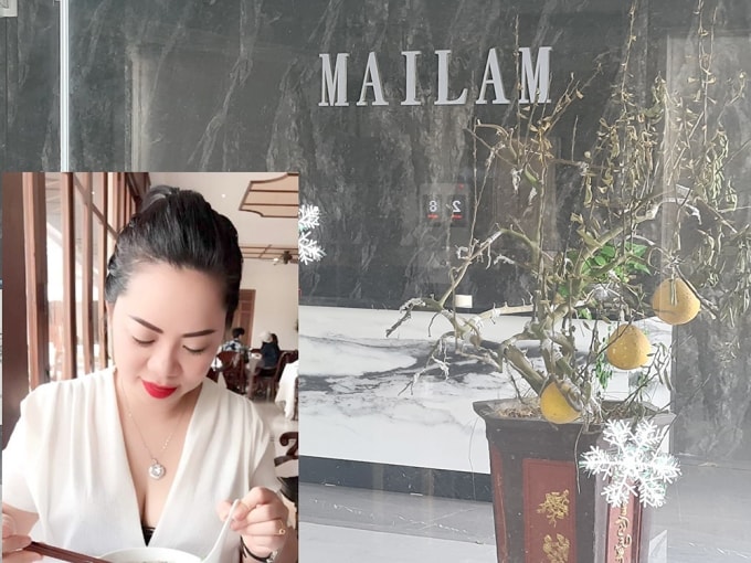 Khởi tố vụ án nữ đại gia gỗ ở Hải Phòng lừa đảo góp vốn 900 tỷ đồng. Ảnh: TL.