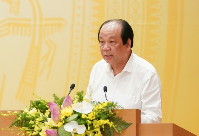 Bộ trưởng, Chủ nhiệm VPCP Mai Tiến Dũng trình bày báo cáo tại Hội nghị.