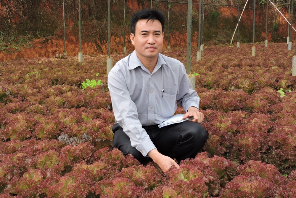 Nhà báo Chu Minh Khôi thăm một vườn trồng rau tại một HTX nông nghiệp ở Đà Lạt, tỉnh Lâm Đồng. Ảnh NVCC