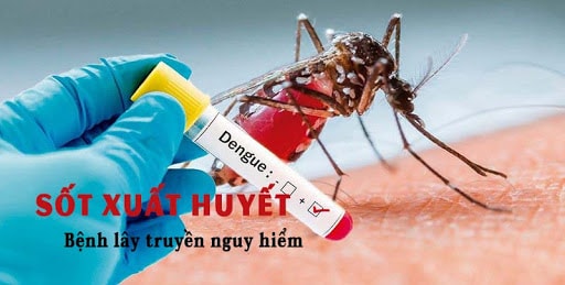 Sốt xuất huyết lây lan nhanh và rất nguy hiểm (ảnh nguồn internet).