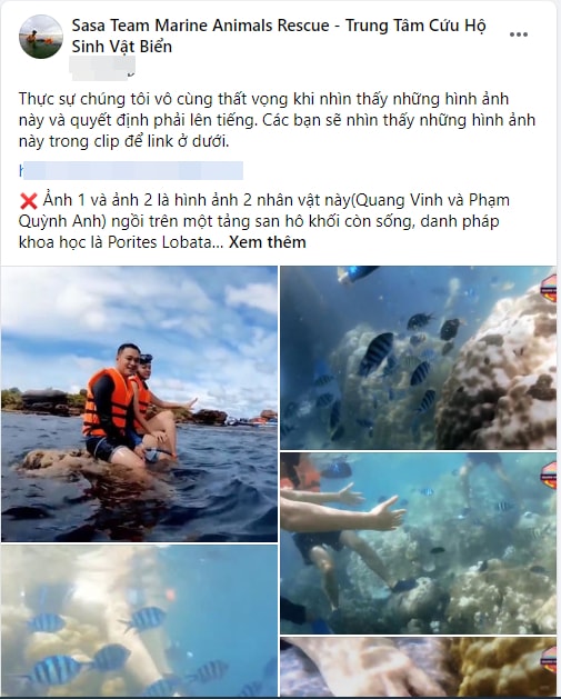 pham-quynh-anh-quang-vinh-1