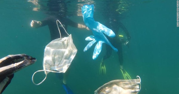 Khẩu trang và găng tay trôi nổi trong đại dương - Ảnh: OPÉRATION MER PROPRE